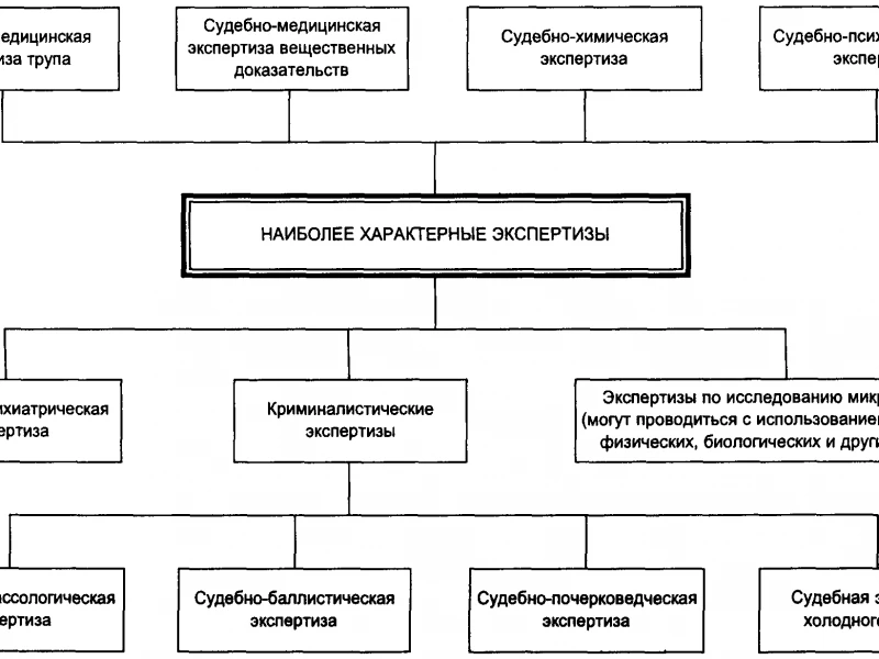 Роль экспертизы сейсмостойкости в безопасной реконструкции дома: ключевые аспекты и частые ошибки